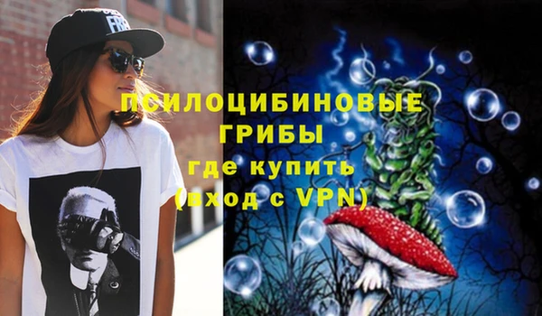 дживик Нефтекумск
