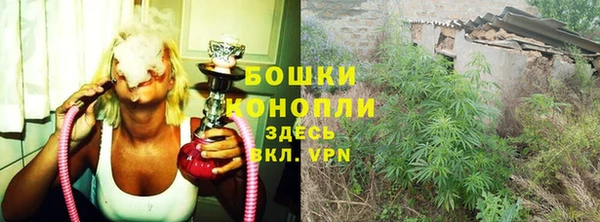 дурь Весьегонск