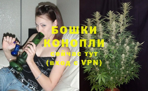 дурь Весьегонск