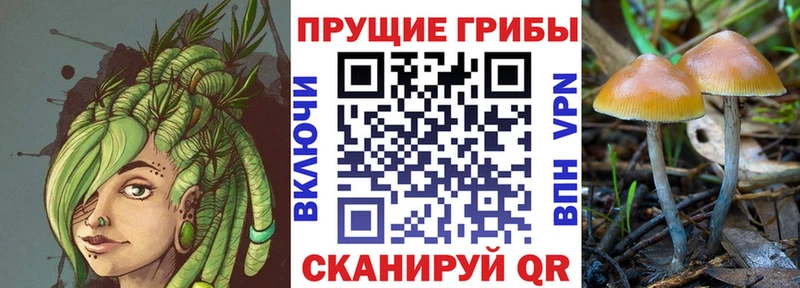 Псилоцибиновые грибы MAGIC MUSHROOMS дарк нет телеграм Старая Купавна omg ТОР