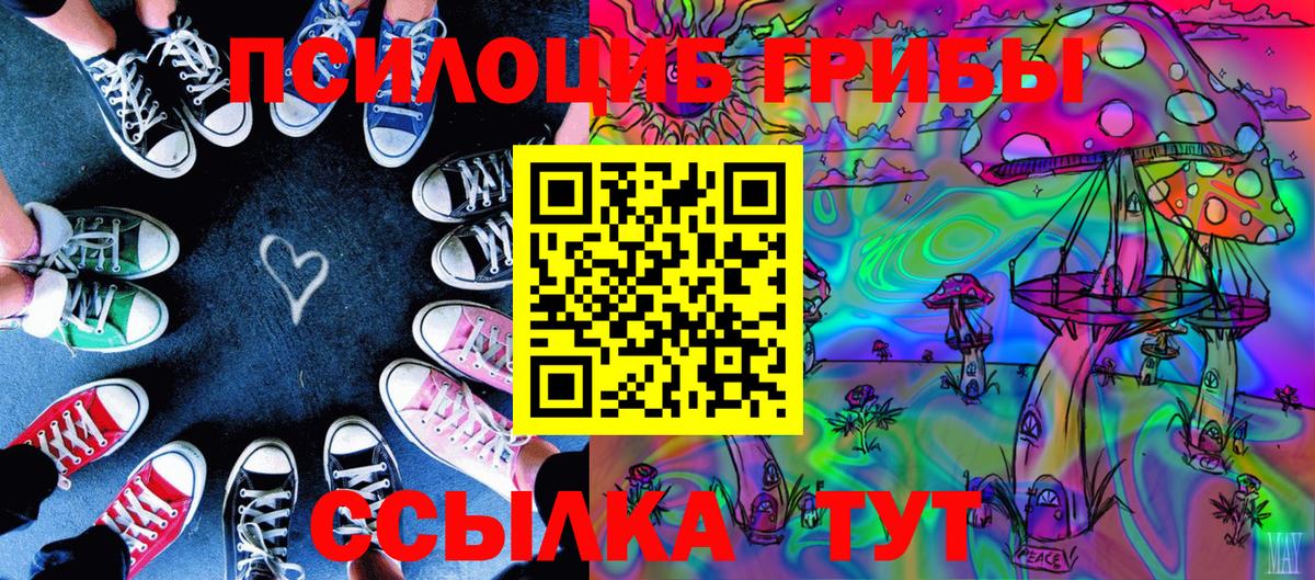 Галлюциногенные грибы Psilocybe Старая Купавна
